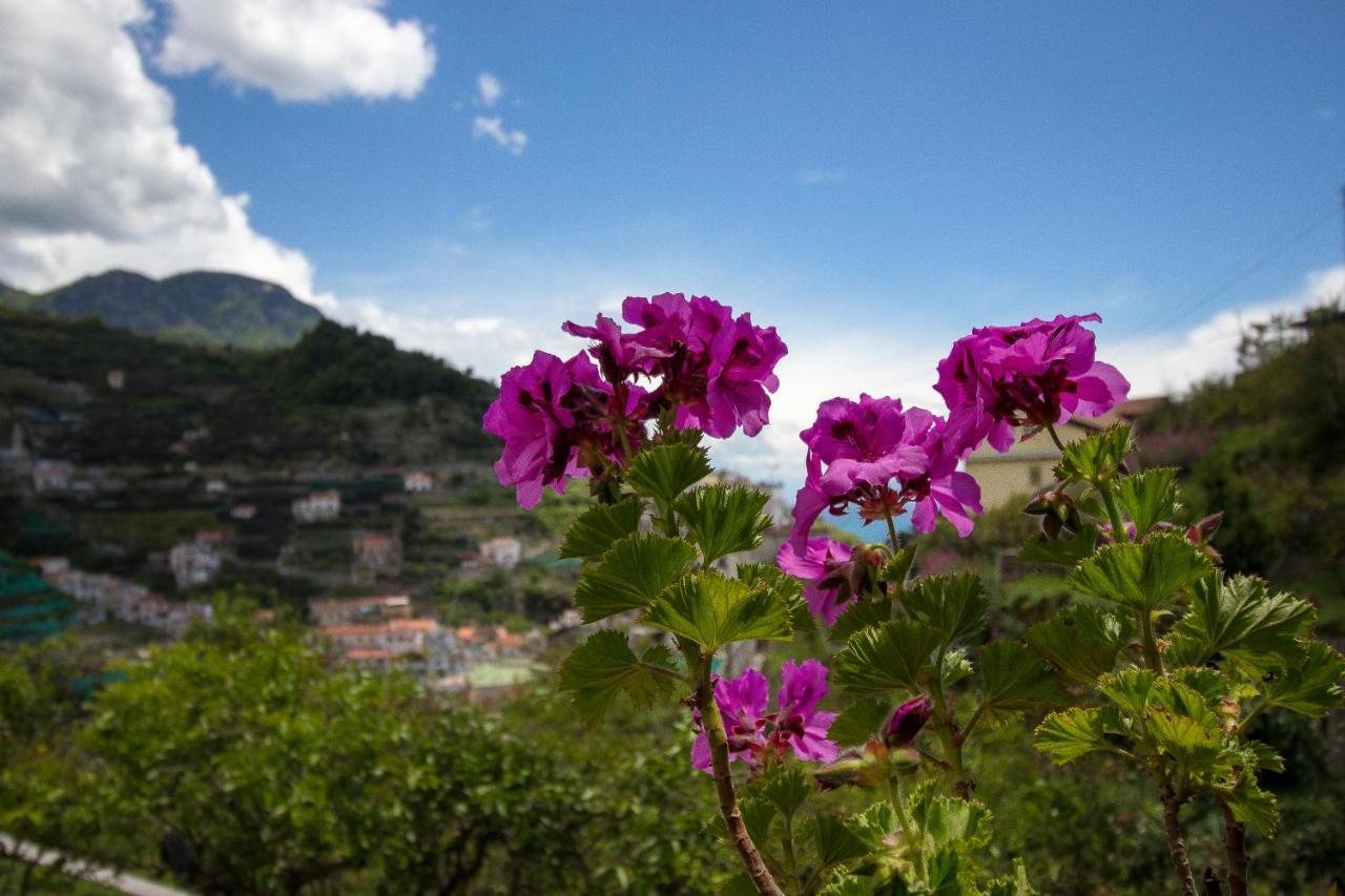 Villa La Zagara Minori Esterno foto